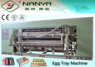 Molding Pulp Egg Tray Making Machine Fruit Tray Production Line Single Layer