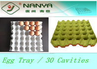 Biodegradable Pulp Moulded Products Disposable Egg Tray with 30 Cavities