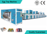 Full Automatic Moulding Pulp Egg Tray Machine with 4000 Pcs/H
